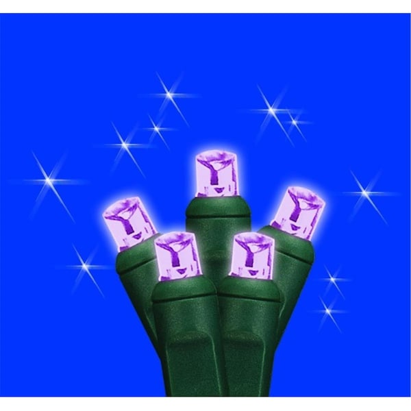 Forever Bright Kellogg Plastics 025 in Holiday Christmas Indoor Outdoor M5 Base LED Purple 45612 - main